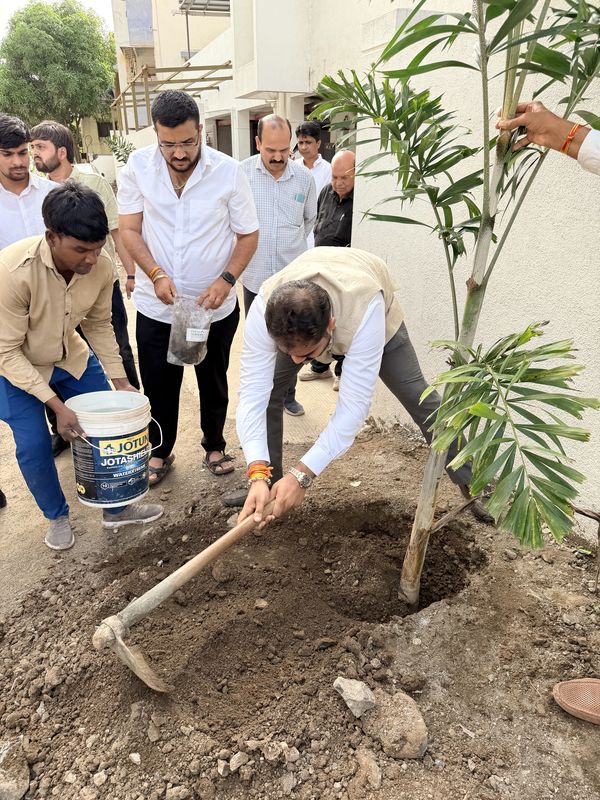 A tree plantation drive